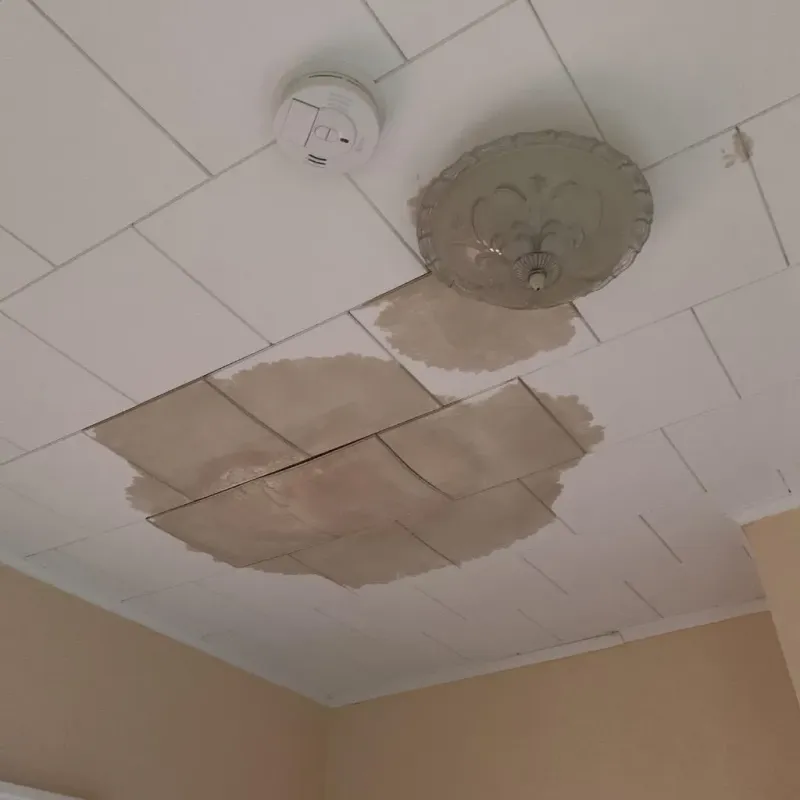 Ceiling Water Damage Repair in Bentonville, AR