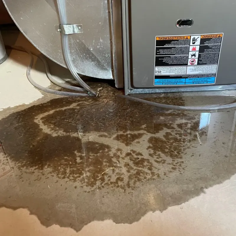 Pipe Burst and Leak Restoration in Bentonville, AR